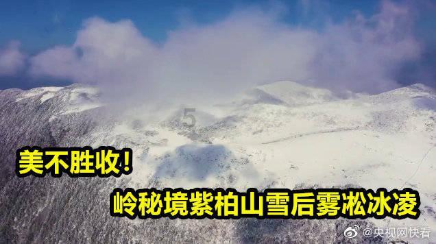 逾200件不同媒介的艺术作品勾勒“幸福的表情”,带来面向未知的启发
