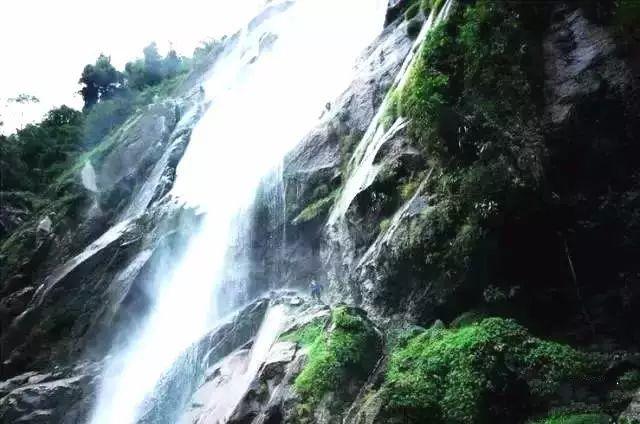 逃离狂热地带