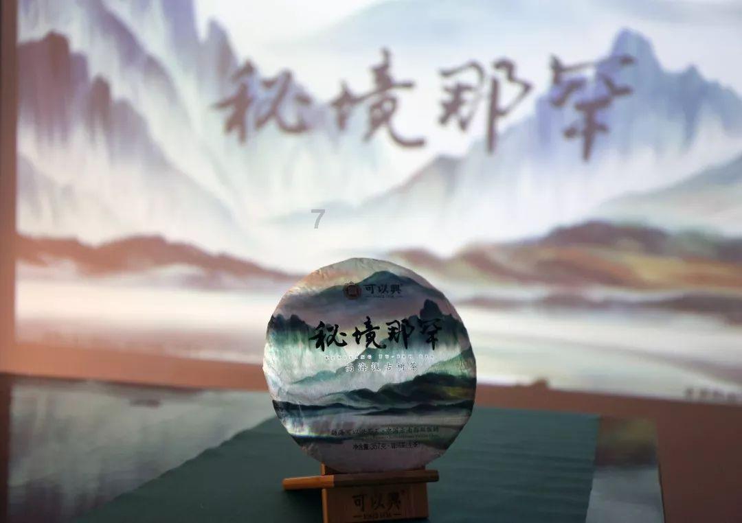 拿着偷盗工具可以报警吗？游戏画面
