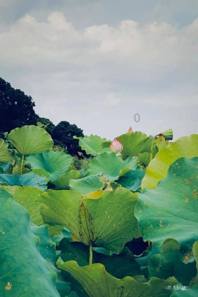 逃离比利部落小屋
