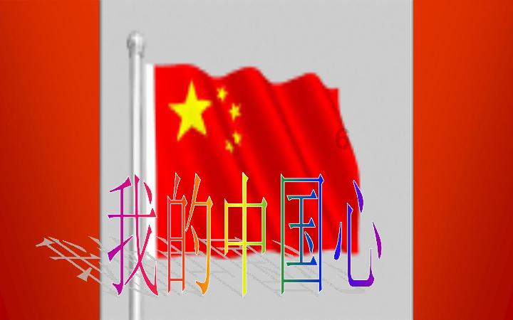 拯救受伤的猫