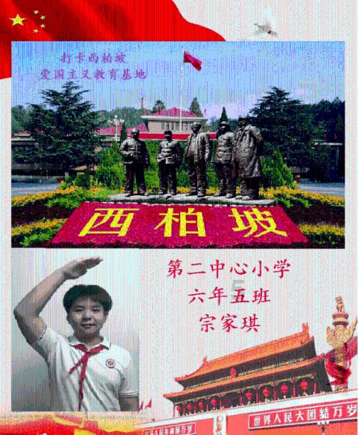动物帮帮忙保卫家园