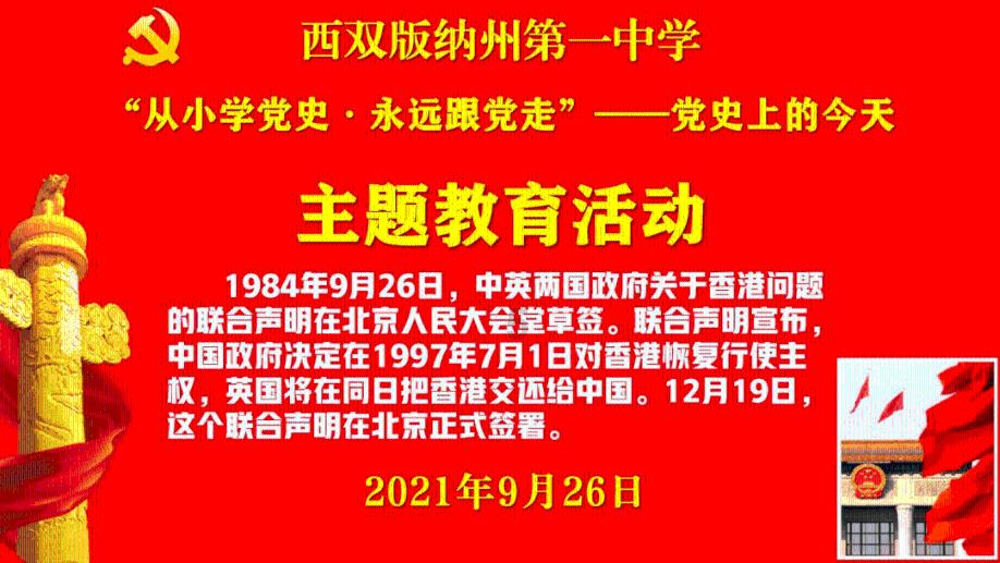 刚买的多肉怎么养游戏画面