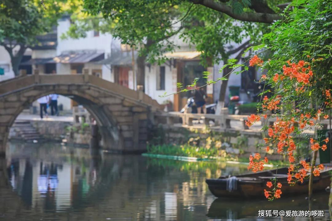 孔小瑜:用画笔诠释花卉与古董的神韵