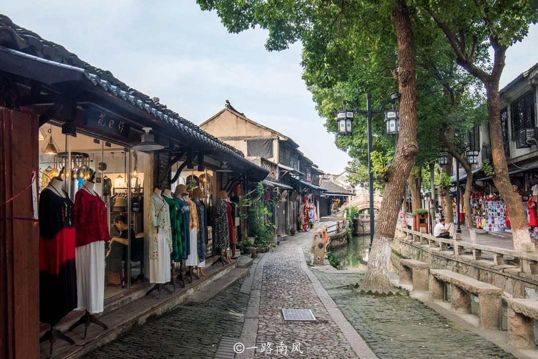 动物帮帮忙保卫家园