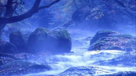 宝贝七巧板